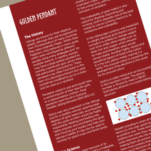 Load image into Gallery viewer, Raiders and Invaders: How far did the Vikings forge a legacy? (Skipper version)