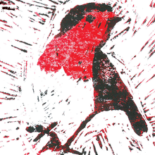 Load image into Gallery viewer, Grand Designs - Potteric Carr: A field guide for children