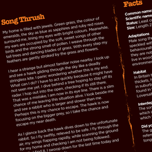 Load image into Gallery viewer, Grand Designs - Potteric Carr: A field guide for children