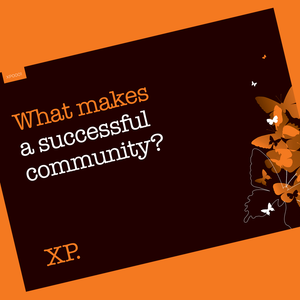 What makes a successful community?